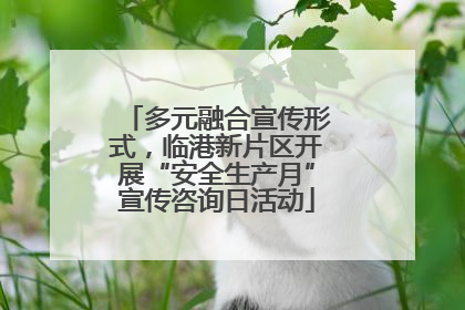 多元融合宣传形式，临港新片区开展“安全生产月”宣传咨询日活动