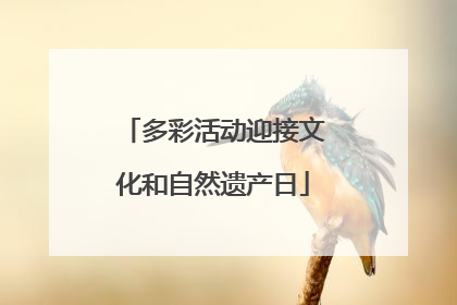 多彩活动迎接文化和自然遗产日