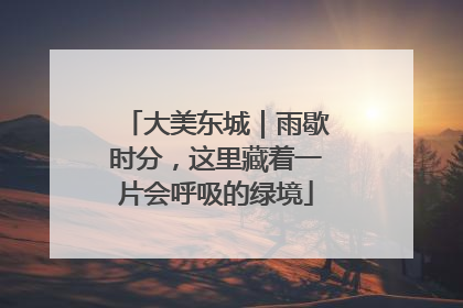 大美东城｜雨歇时分，这里藏着一片会呼吸的绿境