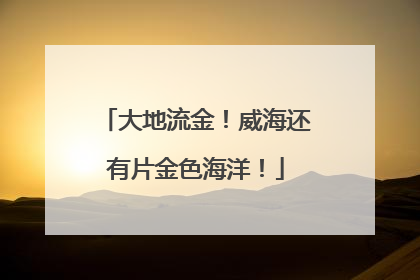 大地流金！威海还有片金色海洋！