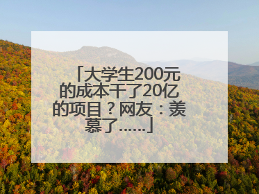 大学生200元的成本干了20亿的项目？网友：羡慕了……