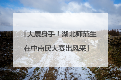 大展身手！湖北师范生在中南民大赛出风采