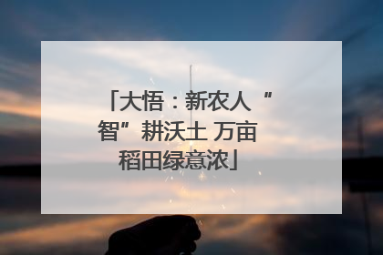 大悟：新农人“智”耕沃土 万亩稻田绿意浓