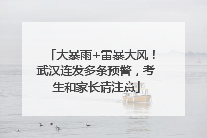 大暴雨+雷暴大风！武汉连发多条预警，考生和家长请注意