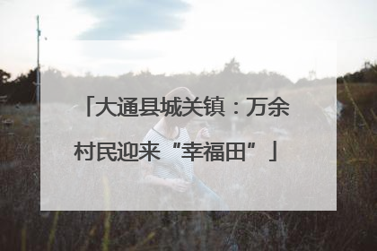 大通县城关镇：万余村民迎来“幸福田”