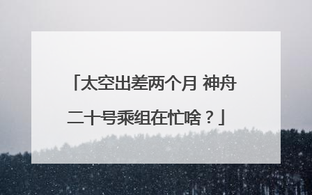 太空出差两个月 神舟二十号乘组在忙啥？