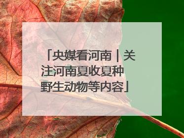 央媒看河南｜关注河南夏收夏种 野生动物等内容