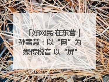 好网民·在东营｜孙雪慧：以“网”为媒传税音 以“屏”为介助发展