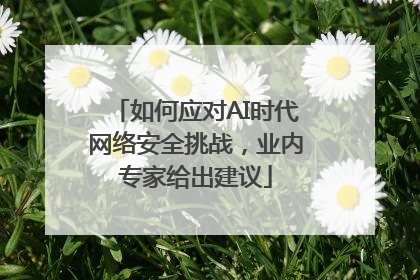 如何应对AI时代网络安全挑战，业内专家给出建议