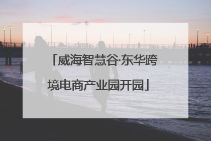 威海智慧谷·东华跨境电商产业园开园