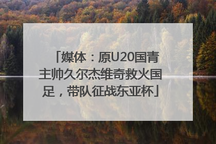 媒体：原U20国青主帅久尔杰维奇救火国足，带队征战东亚杯