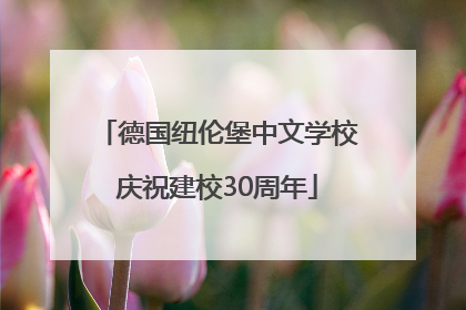 德国纽伦堡中文学校庆祝建校30周年