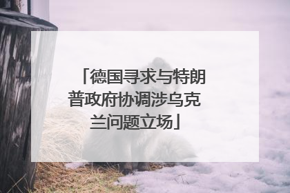 德国寻求与特朗普政府协调涉乌克兰问题立场