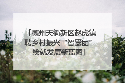 德州天衢新区赵虎镇聘乡村振兴“智囊团” 绘就发展新蓝图