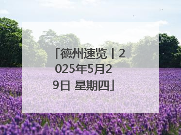 德州速览丨2025年5月29日 星期四