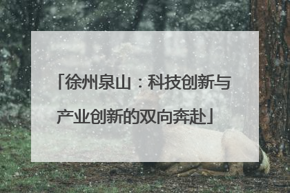 徐州泉山：科技创新与产业创新的双向奔赴