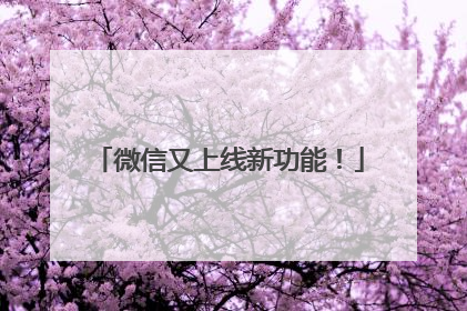 微信又上线新功能！