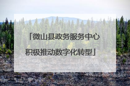 微山县政务服务中心积极推动数字化转型