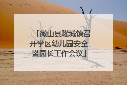 微山县驩城镇召开学区幼儿园安全暨园长工作会议