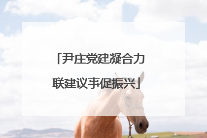 尹庄党建凝合力 联建议事促振兴