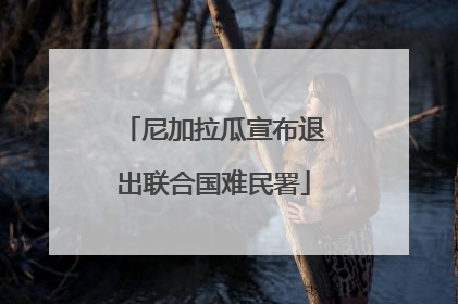 尼加拉瓜宣布退出联合国难民署