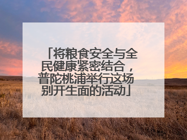 将粮食安全与全民健康紧密结合，普陀桃浦举行这场别开生面的活动