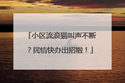 小区流浪猫叫声不断？民情快办出招啦！