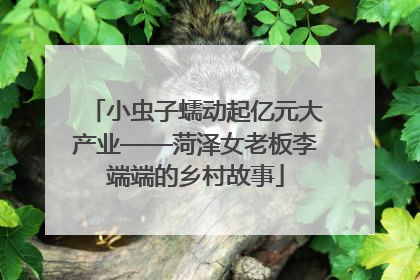 小虫子蠕动起亿元大产业——菏泽女老板李端端的乡村故事