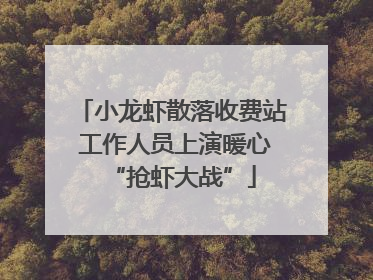 小龙虾散落收费站 工作人员上演暖心“抢虾大战”