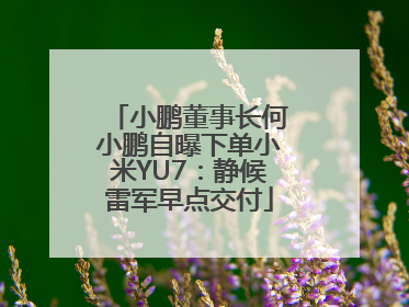 小鹏董事长何小鹏自曝下单小米YU7：静候雷军早点交付