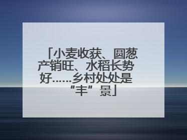 小麦收获、圆葱产销旺、水稻长势好……乡村处处是“丰”景