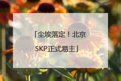 尘埃落定！北京SKP正式易主
