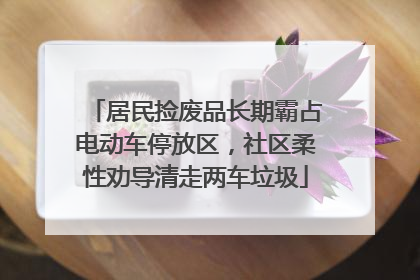 居民捡废品长期霸占电动车停放区，社区柔性劝导清走两车垃圾