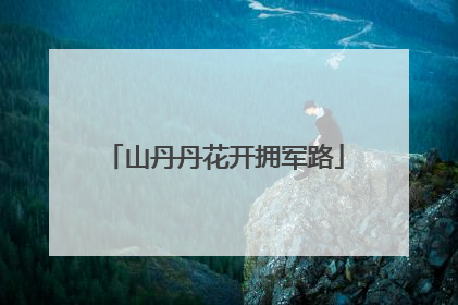 山丹丹花开拥军路