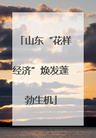 山东“花样经济”焕发蓬勃生机