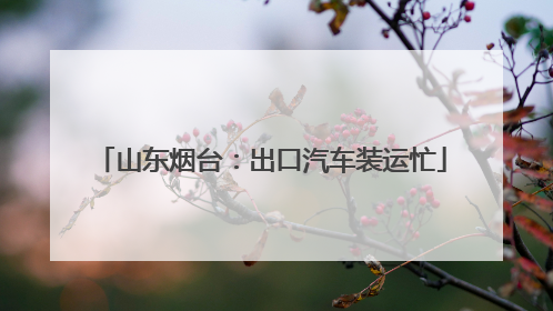 山东烟台：出口汽车装运忙