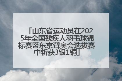 山东省运动员在2025年全国残疾人羽毛球锦标赛暨东京聋奥会选拔赛中斩获3银1铜