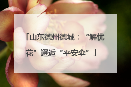 山东德州德城：“解忧花”邂逅“平安伞”