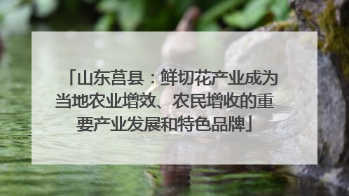 山东莒县：鲜切花产业成为当地农业增效、农民增收的重要产业发展和特色品牌