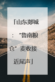山东郯城：“鲁南粮仓”麦收接近尾声
