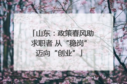 山东：政策春风助求职者 从“稳岗”迈向“创业”