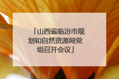 山西省临汾市规划和自然资源局党组召开会议