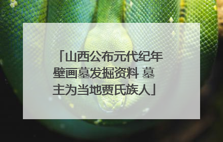 山西公布元代纪年壁画墓发掘资料 墓主为当地贾氏族人