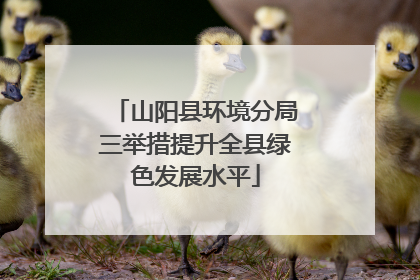 山阳县环境分局三举措提升全县绿色发展水平