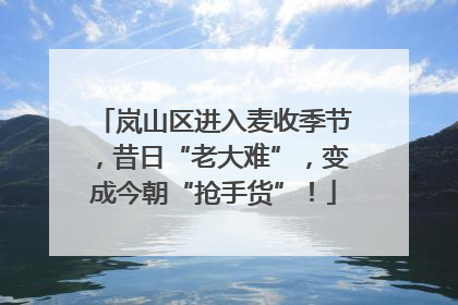 岚山区进入麦收季节，昔日“老大难”，变成今朝“抢手货”！
