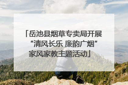 岳池县烟草专卖局开展“清风长乐 廉韵广烟”家风家教主题活动