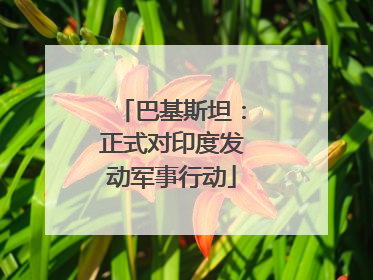 巴基斯坦：正式对印度发动军事行动