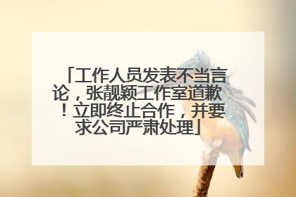 工作人员发表不当言论，张靓颖工作室道歉！立即终止合作，并要求公司严肃处理