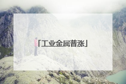 工业金属普涨