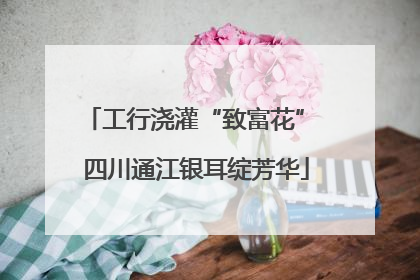 工行浇灌“致富花” 四川通江银耳绽芳华
